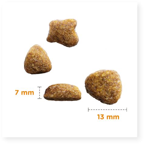 Dry Food Puppy Large Breed Fresh Chicken » IAMS