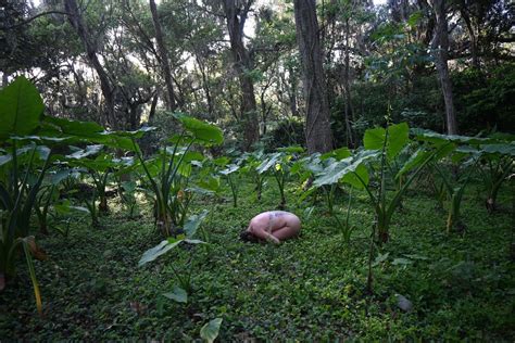 Wild Women Of Nature By Evan Nicks Planet Nude