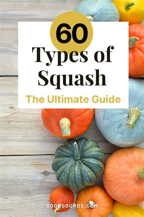 Types Of Squash Squash Varieties Winter Squash Varieties Pumpkin