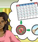 formas de aclarar el área del bikini wikiHow