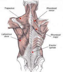 How To Build A Wide Cobra Back As A Natural Lifter