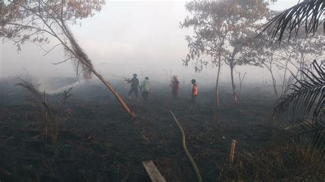 Kebakaran Lahan Gambut Di Aceh Barat Belum Padam