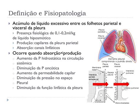 Fisiopatologia O Que E Braincp