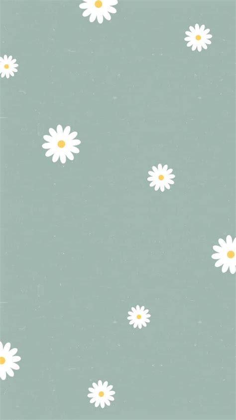 Download Cute Daisy Flowers With Leaves Pattern Wallpaper 46 Off