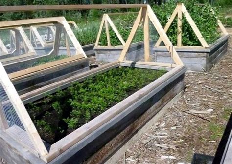 Фото Мини Парников Своими Руками Фото — Фото Картинки