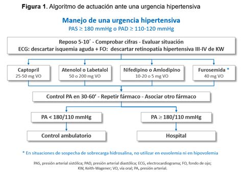 Algoritmo Crisis Hipertensiva Pdf The Best Porn Website