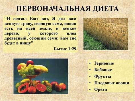 Пять диет в Библии. Изучение Божьего плана питания для человека ...
