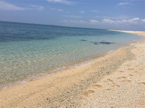 自介 終於有勇氣自介了 看板 gay 批踢踢實業坊