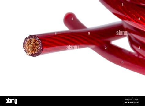 Red Power Cable Isolated On White Background Stock Photo Alamy