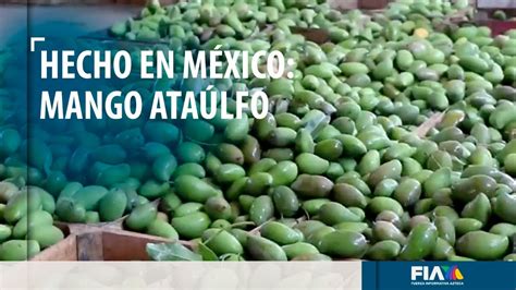 Hechoenm Xico El Mango Ata Lfo Una Fruta Mexicana Que Ya Puedes