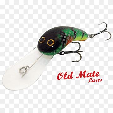 Murray Cod Png Images Pngwing