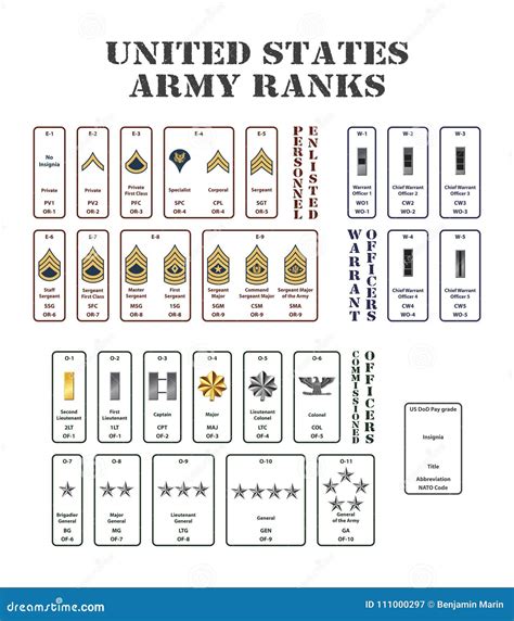 US Army Ranks Royalty-Free Cartoon | CartoonDealer.com #86747804