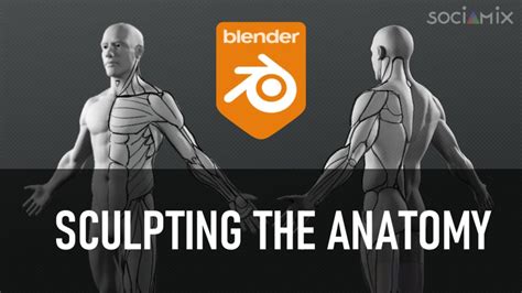 Blendernation On Twitter Earlier Today Sculpting The Human Anatomy