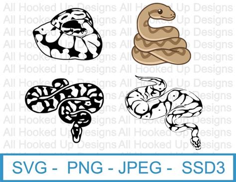 Ball Python Png I Ball Python Svg I Ball Python Clip Art I Etsy Australia