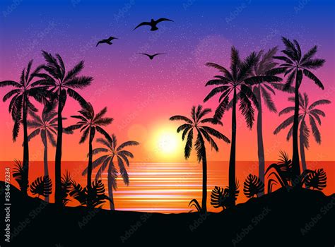 Summer beach night palm silhouettes on summer sunset with beautiful ...