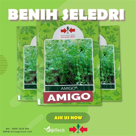 Jual Benih Seledri Amigo Isi Biji Cap Panah Merah Shopee