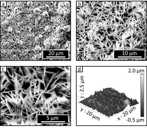 Sem With Increasing Magnification A To C And Afm D Imaging Of A