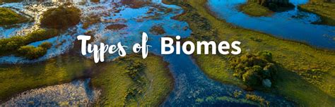 Unveiling Earth's Wonders: 26 Types of Biomes Explored