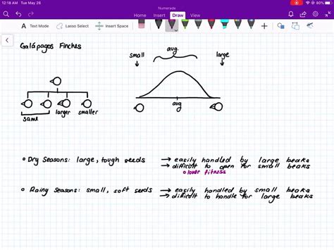 SOLVED:What are selective pressures, and how do they relate to natural ... 