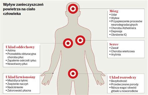 Kaszel katar ból głowy Jak smog niszczy nasze organizmy