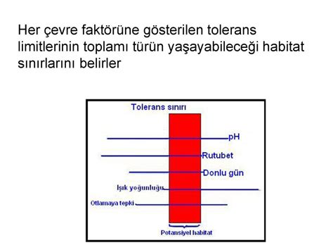 Ekos Stemlerde Sinirlandirici Fakt Rler Ppt Indir