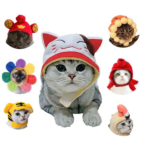 Funny Hat for Cat | That's So Fetch!