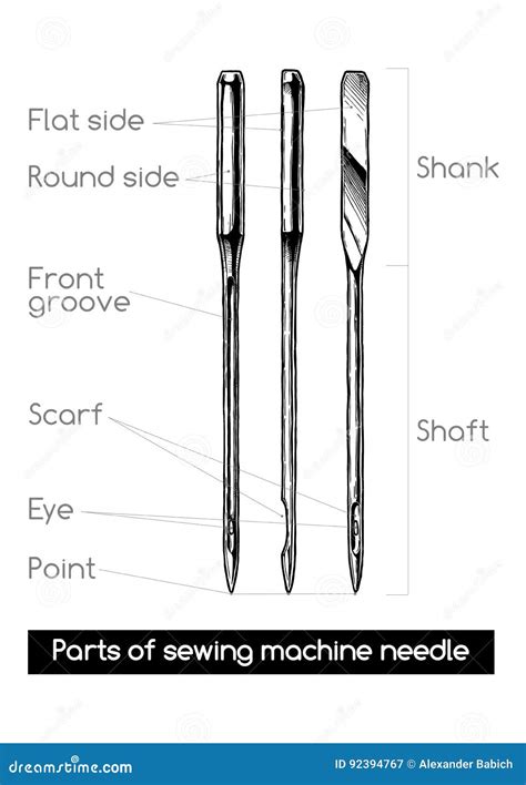 Parts Of Sewing Machine Needle Stock Vector Illustration Of Isolated