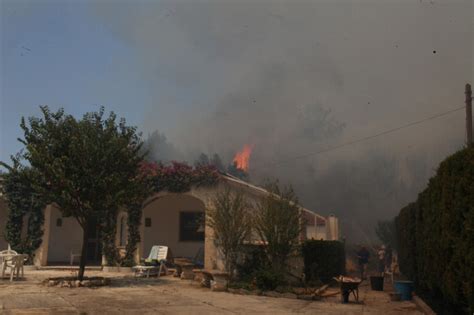 Incendio A San Cataldo Le Fiamme Minacciano La Riserva La Repubblica