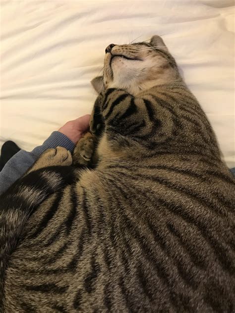 1048 Best Lupin Images On Pholder Lupinthe3rd Earth Porn And Harrypotter