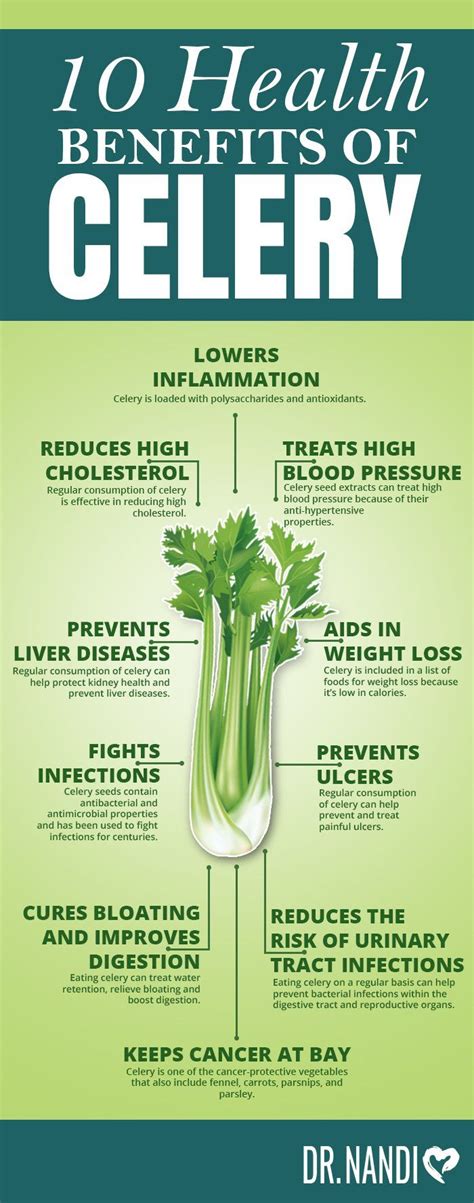 10 Health Benefits Of Celery Dr Nandi Celery Benefits Celery