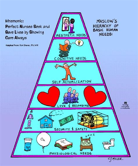 Maslow Hierarchy Of Needs Nursing