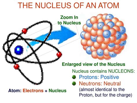 Ppt The Nucleus Radioactivity Half Life Powerpoint Presentation