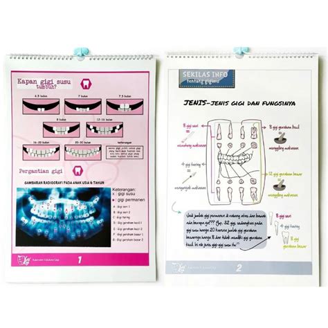 Jual Ka Egi Dental Educational Wall Calender A3 Poster Flipchart