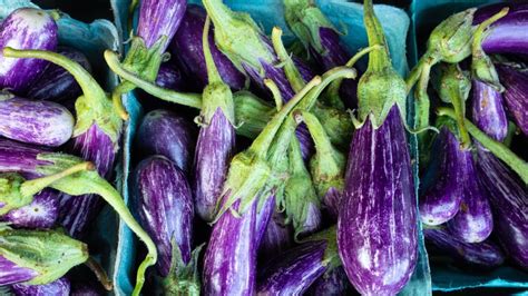 12 Varieties Of Eggplants Explained Tasting Table 2022