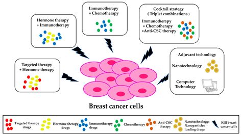 Ijms Free Full Text Current Molecular Combination Therapies Used For The Treatment Of Breast