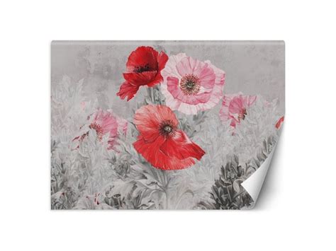 Papier Peint Coquelicots Rouges L Aquarelle X Tap Tyk Tf