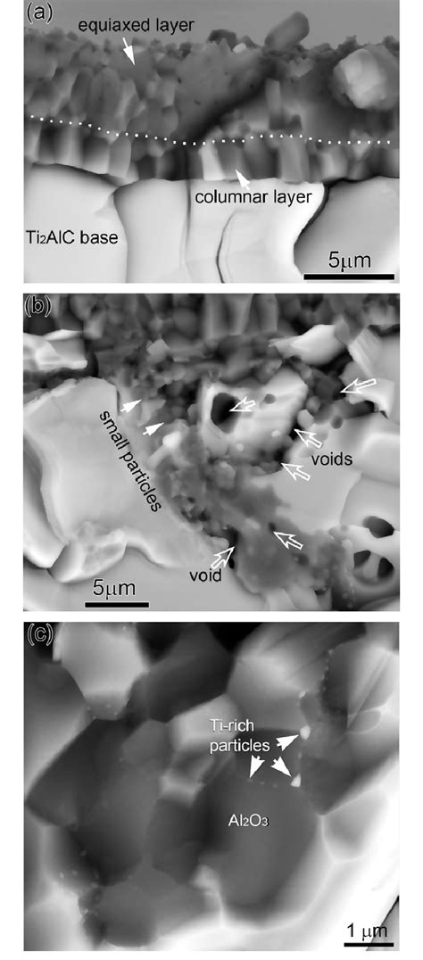 Sem Micrographs Of Fracture Cross Sections Of Ti Alc Oxidized For