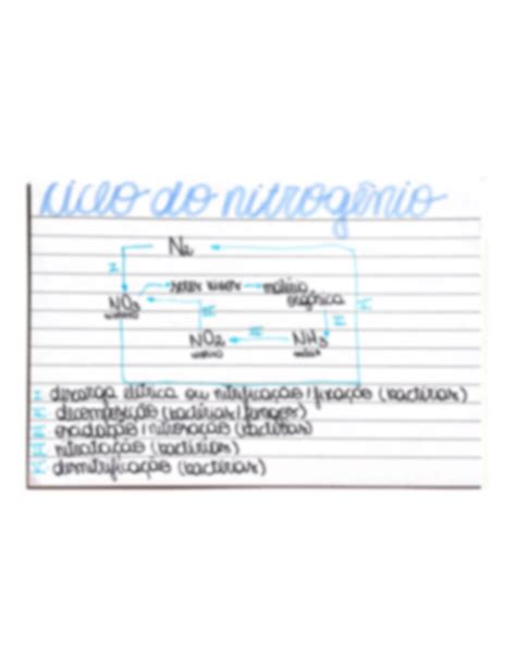 Solution Ciclo Do Nitrog Nio Studypool