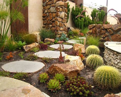 Cactus Garden | Houzz