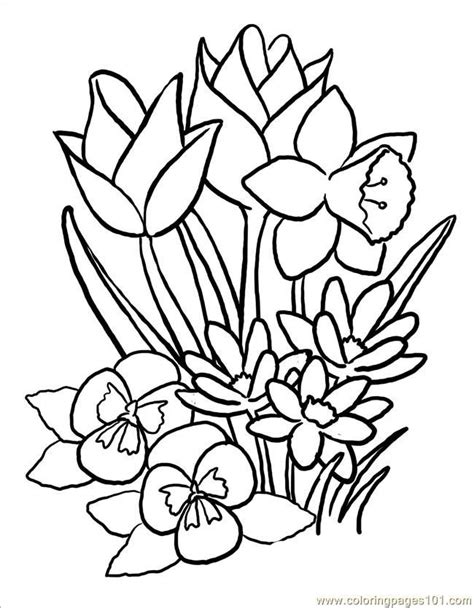 Colouring Pictures Of Spring Flowers | Best Flower Site