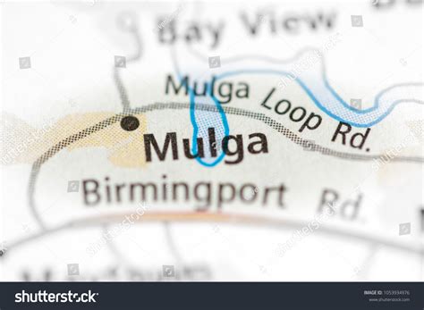 6 Mulga Alabama Images, Stock Photos & Vectors | Shutterstock