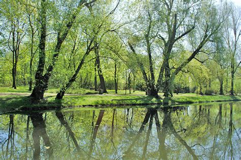 Arkadia Park in Warsaw by mariusz01 on DeviantArt