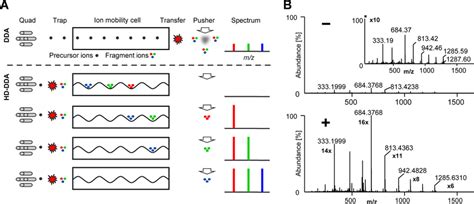 Synchronization Of Fragment Ion Mobility And Pusher Frequency Improves Download Scientific