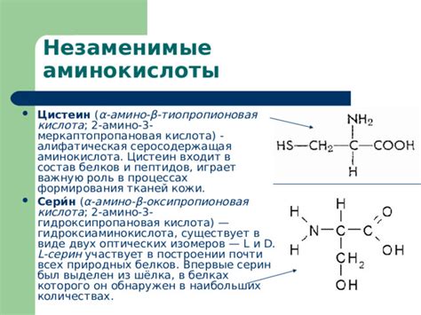 Презентация по химии на тему "Аминокислоты"