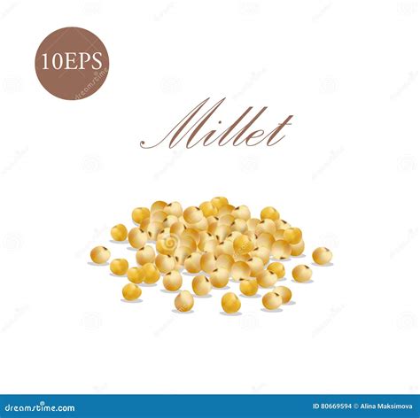 Millet. Vector Illustration of 10 EPS Stock Vector - Illustration of ...