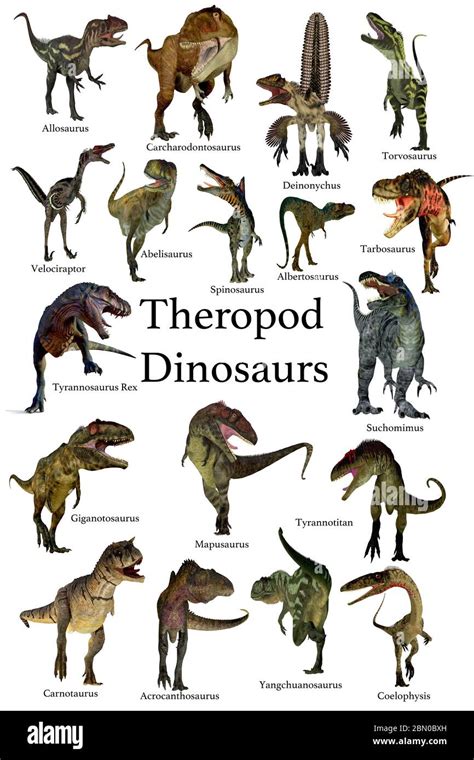 Theropod Dinosaurs - A collection set of Theropod carnivorous dinosaurs ...