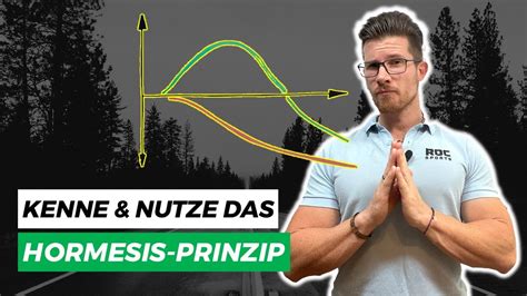 Hormesis Das Prinzip Der Widerstandskraft Youtube