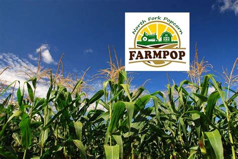 Farmpop North Fork Popcorn