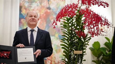 Renanthera Olaf Scholz Diese Orchidee heißt nun wie der Kanzler