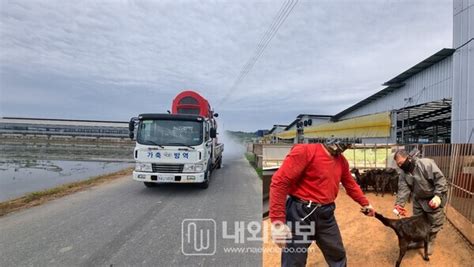 세종시 구제역 위기 경보 심각 에서 관심 하향 조정